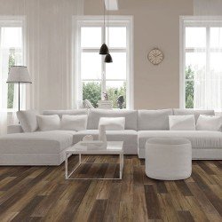 COREtec Plus Premium - Pride Oak COREtec Plus Premium - Pride Oak